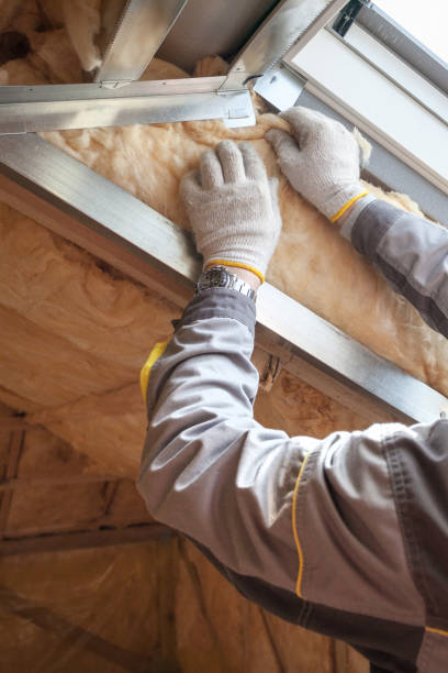 Best Attic Insulation Installation  in Ashland, AL